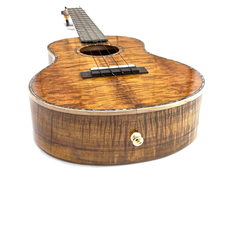 ��KIWAYA��KPT-5K �ƥʡ�������