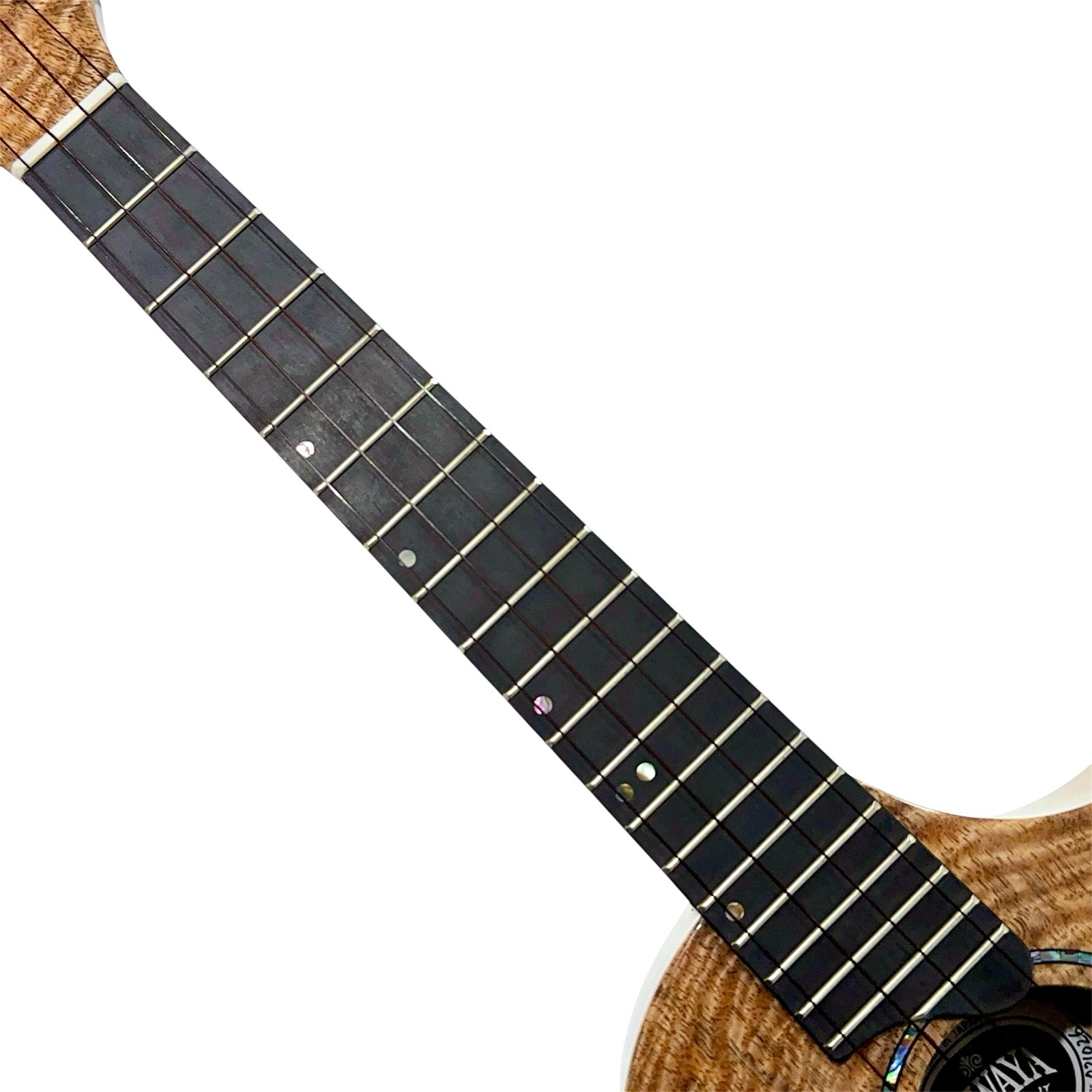 ��KIWAYA��KPT-3MGC �ƥʡ�������