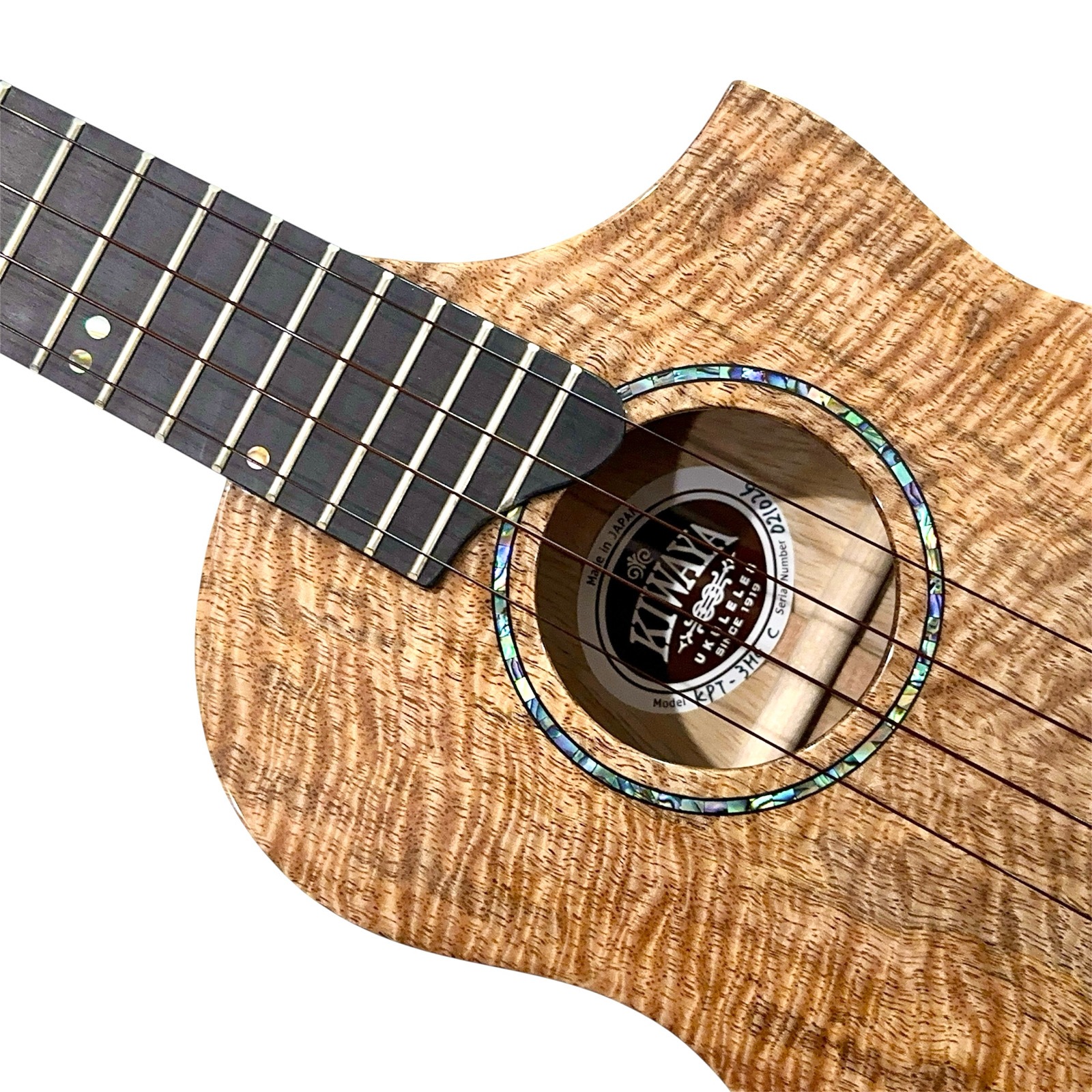 ��KIWAYA��KPT-3MGC �ƥʡ�������