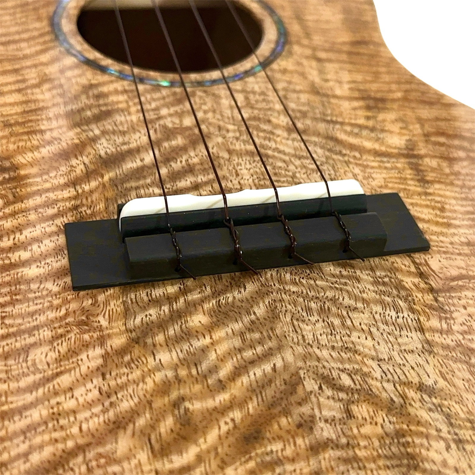 ��KIWAYA��KPT-3MGC �ƥʡ�������