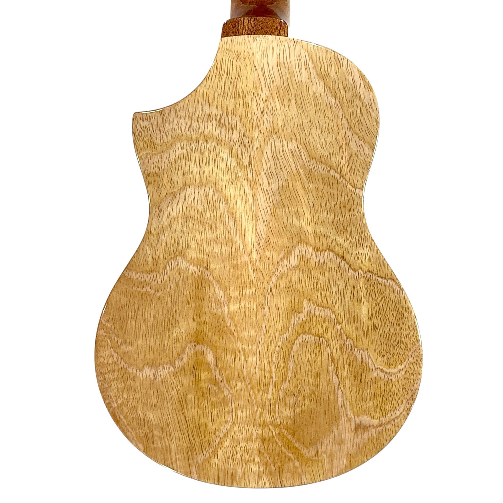 ��KIWAYA��KPT-3MGC �ƥʡ�������