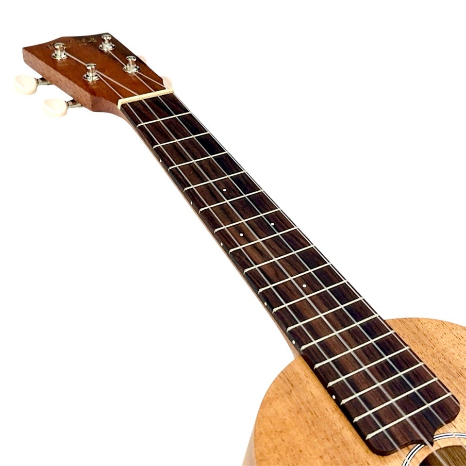 ��Martin��C1K #38665 ���󥵡��ȥ�����