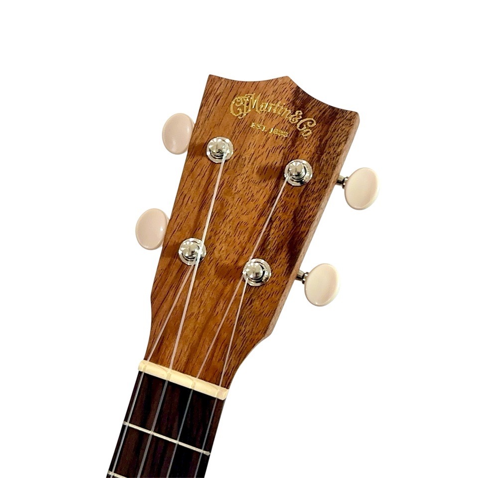 ��Martin��C1K #38665 ���󥵡��ȥ�����