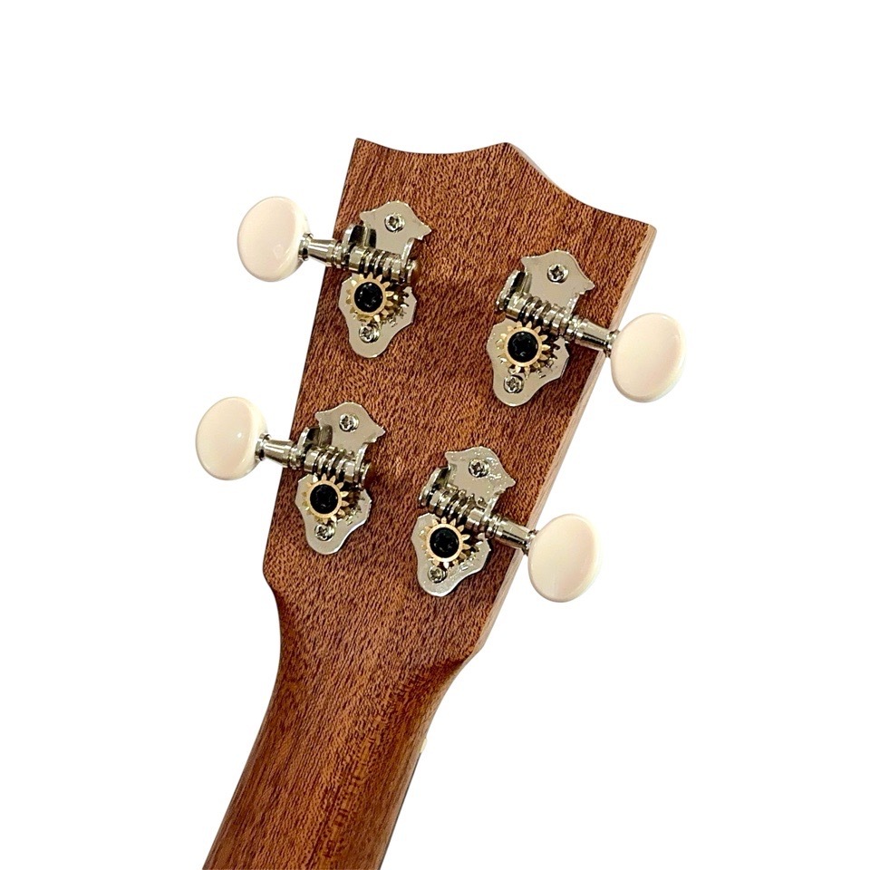 ��Martin��C1K #38665 ���󥵡��ȥ�����