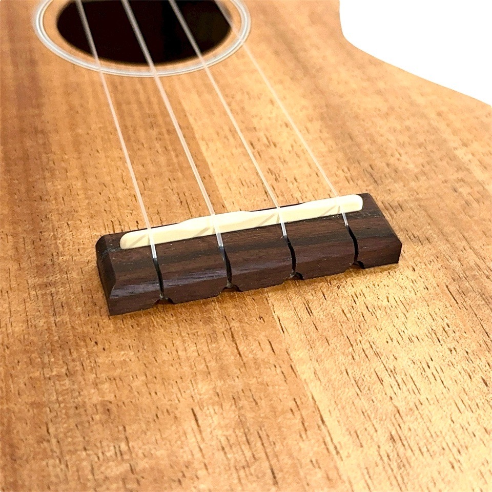 ��Martin��C1K #38665 ���󥵡��ȥ�����