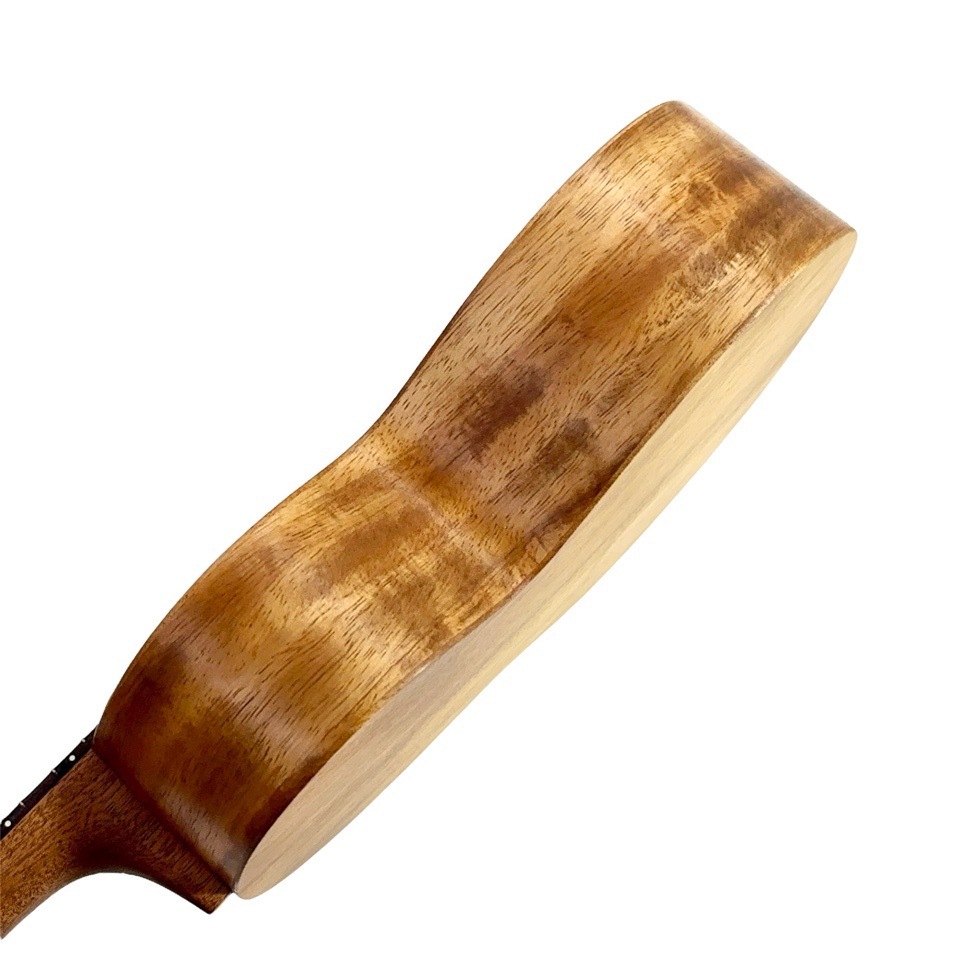 ��Martin��C1K #38665 ���󥵡��ȥ�����