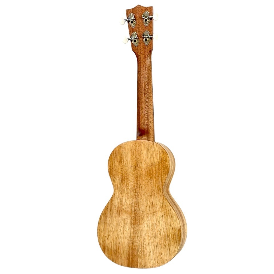 ��Martin��C1K #38665 ���󥵡��ȥ�����