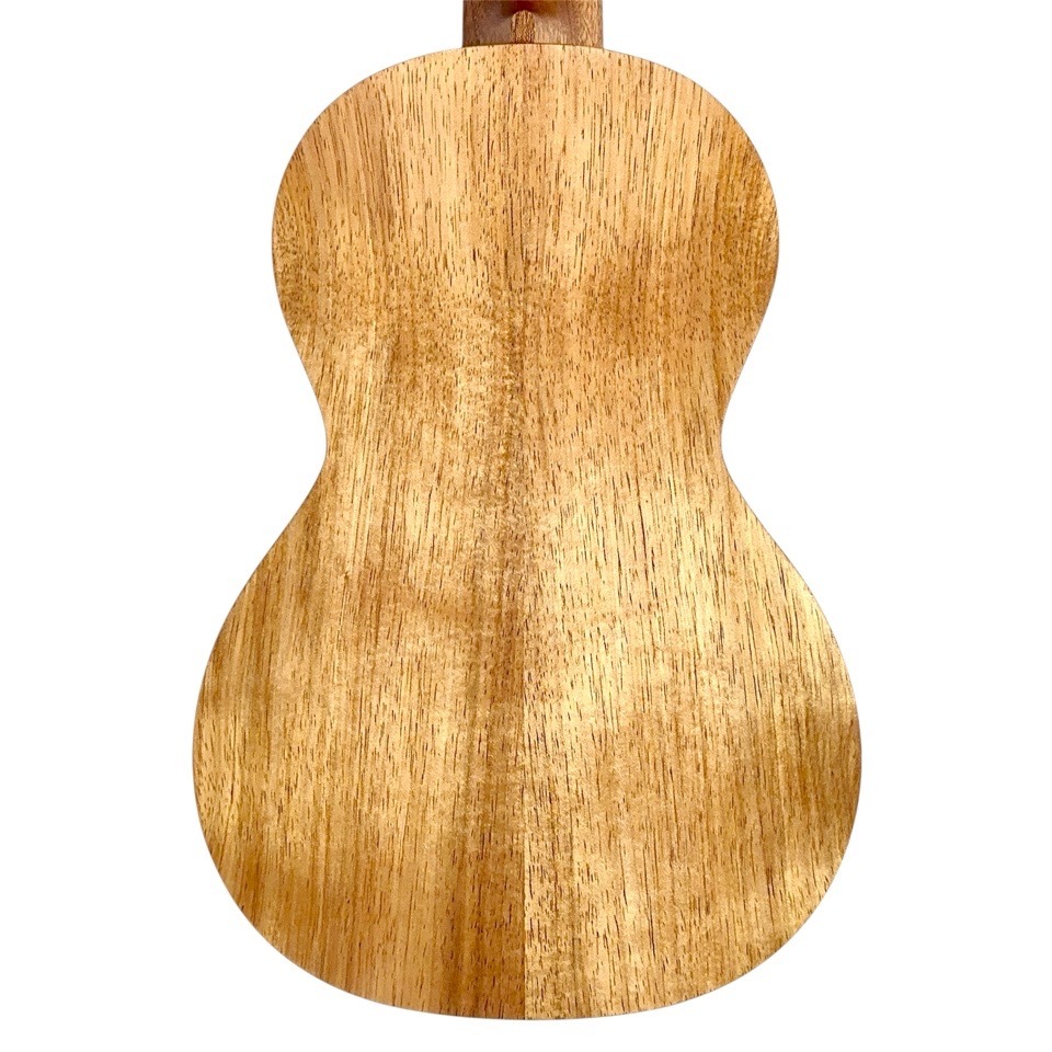 ��Martin��C1K #38665 ���󥵡��ȥ�����