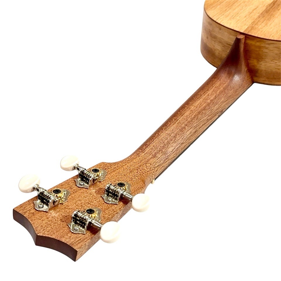 ��Martin��C1K #38665 ���󥵡��ȥ�����