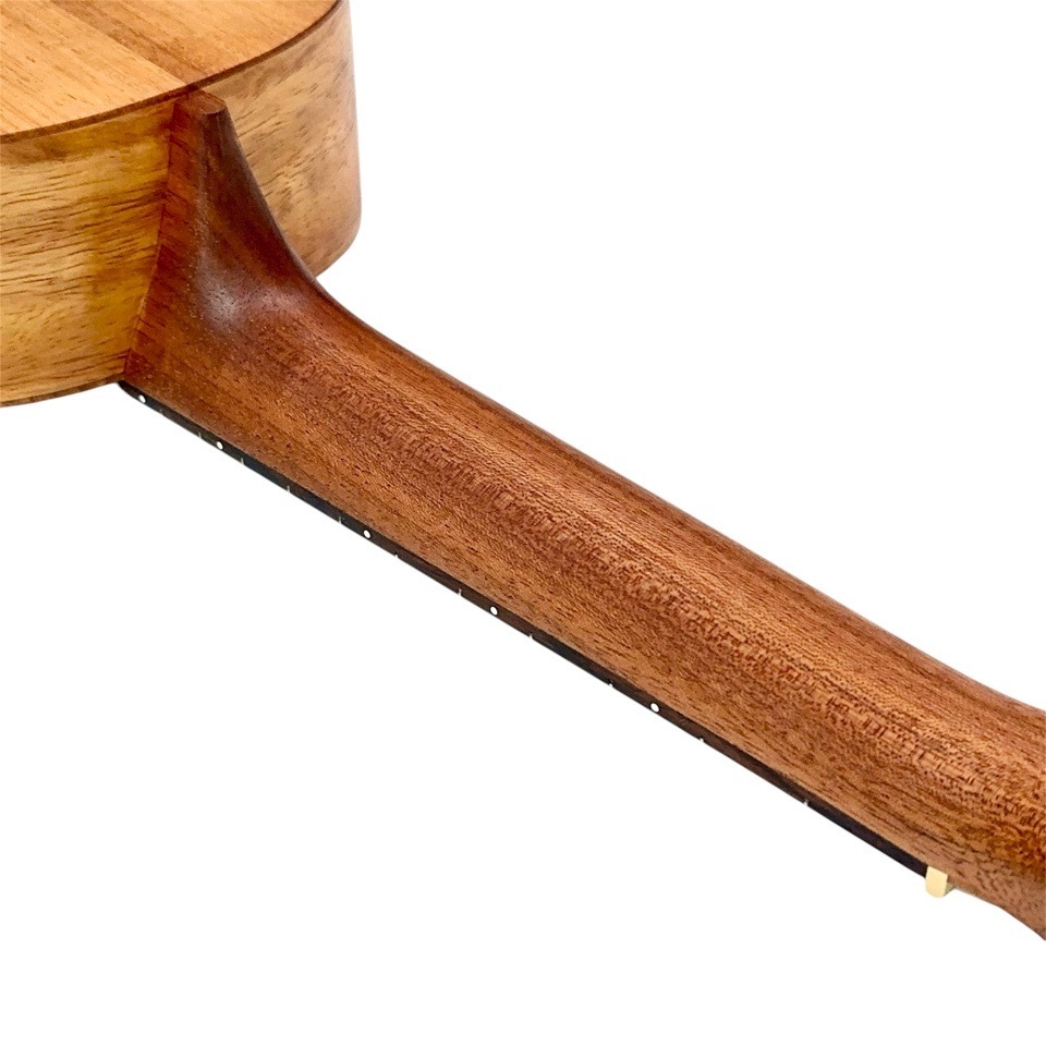 ��Martin��C1K #38665 ���󥵡��ȥ�����