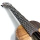 TODA GuitarsVC No.746 󥵡ȥ
