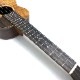 TODA GuitarsVC No.746 󥵡ȥ