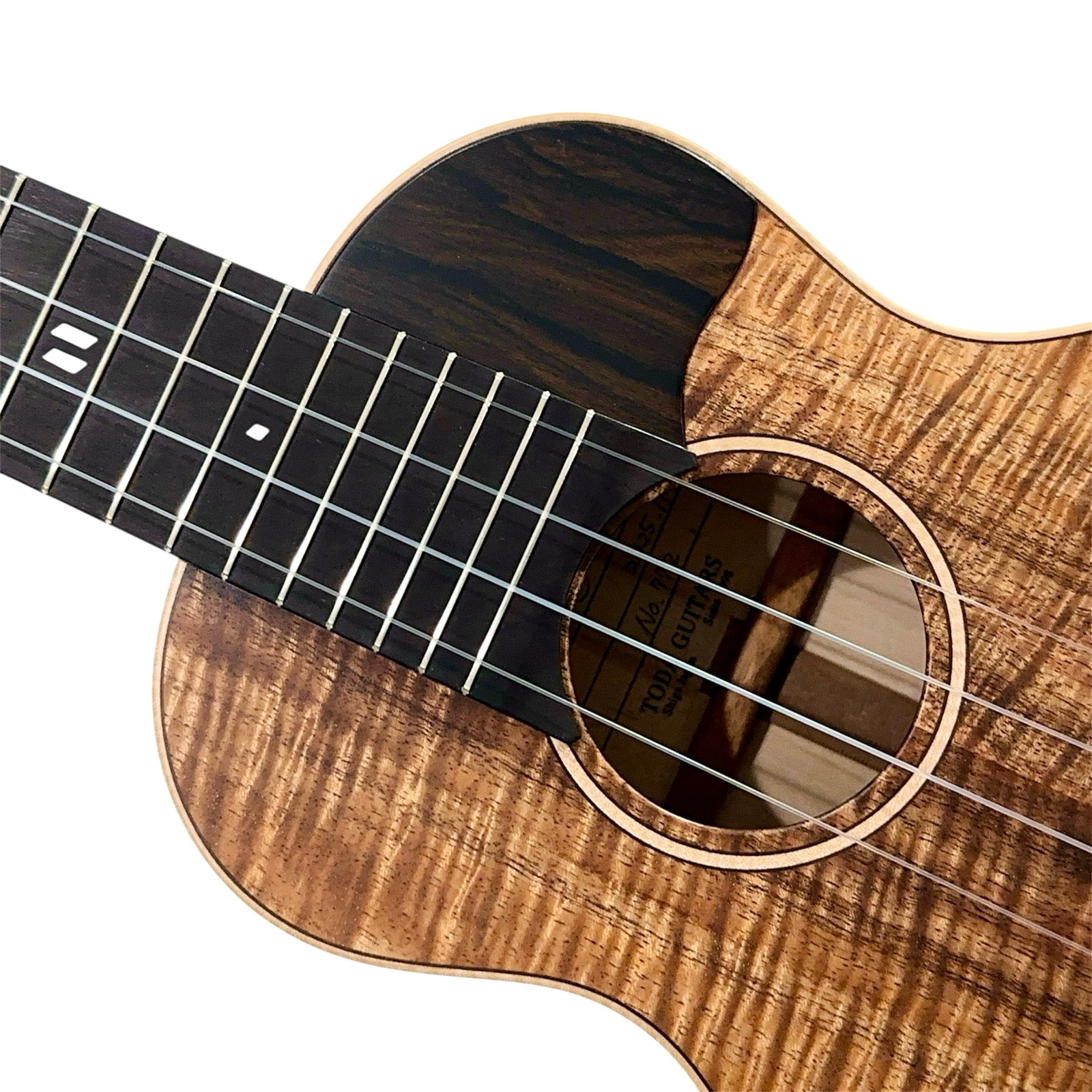 ��TODA GUITARS��VC No.772 ���󥵡��ȥ�����