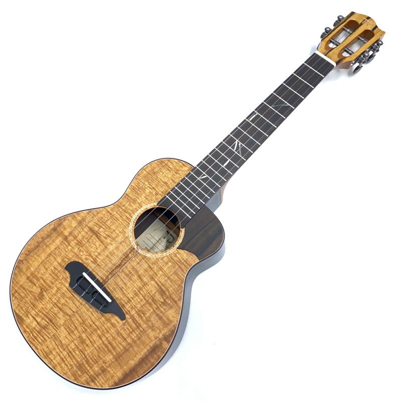 TODA GuitarsVT-CW No.683 ƥʡ