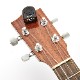 D'addarioNS Micro Headstock Tuner  PW-CT-12ޥ塼ʡ ͥݥԲ