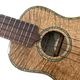 Maui MusicMango Soprano Deluxe ץΥ