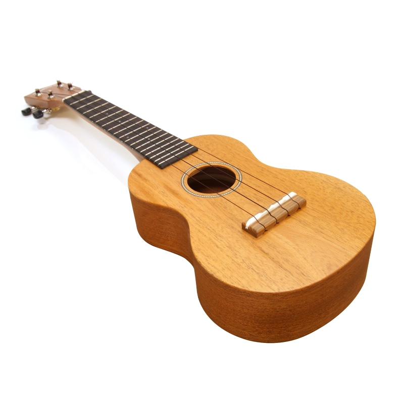 ��SALE��Famous��FS-210 ���ץ��