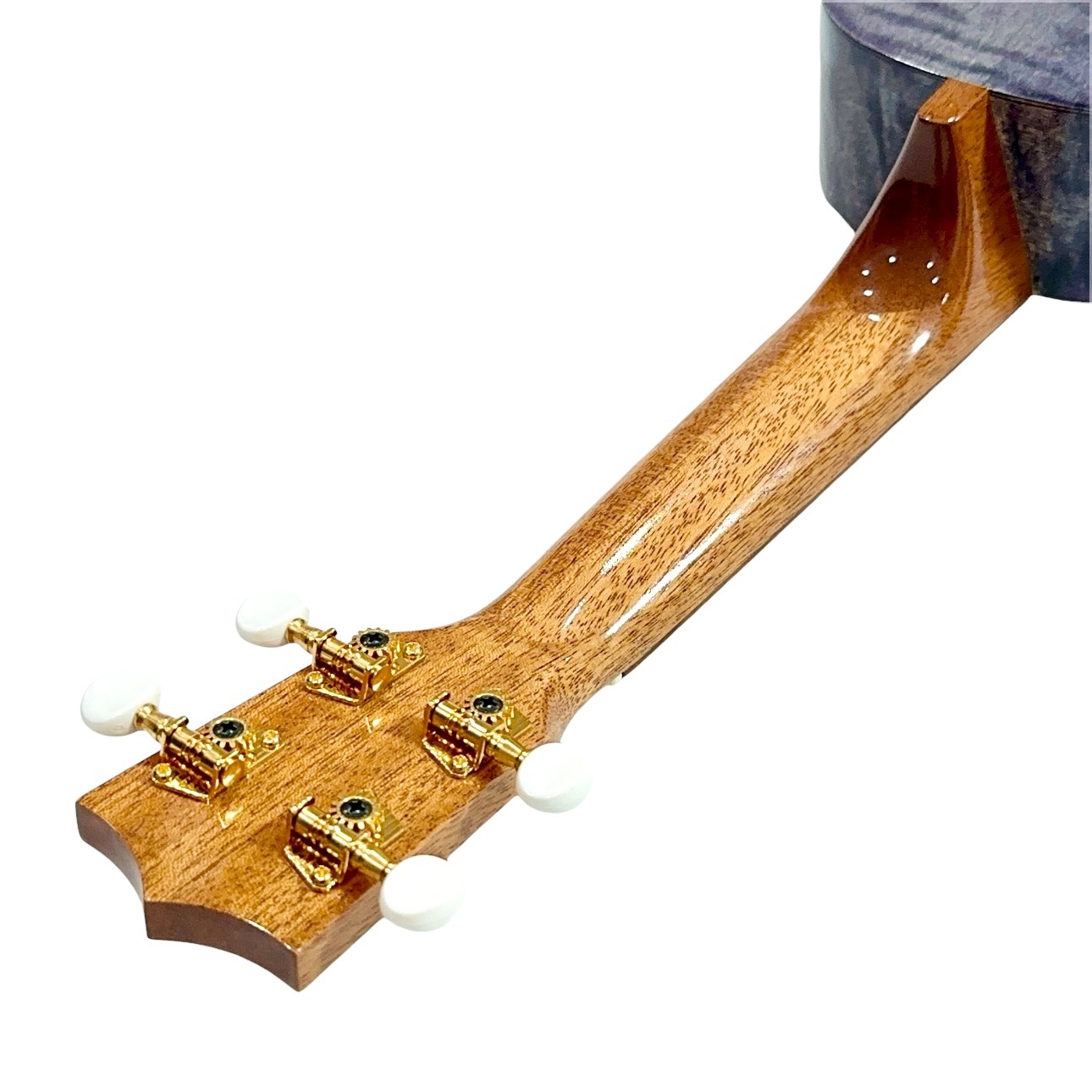 ��Famous��FS-S10/BK ���ץ�Υ�����