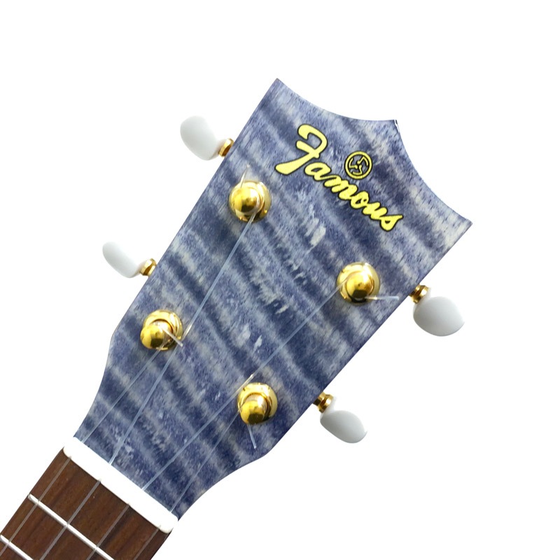 FamousFS-S10/BK ץΥ