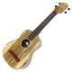 Maui MusicMango Concert Deluxe 󥵡