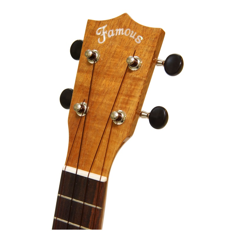 ��SALE��Famous��FS-220 ���ץ��