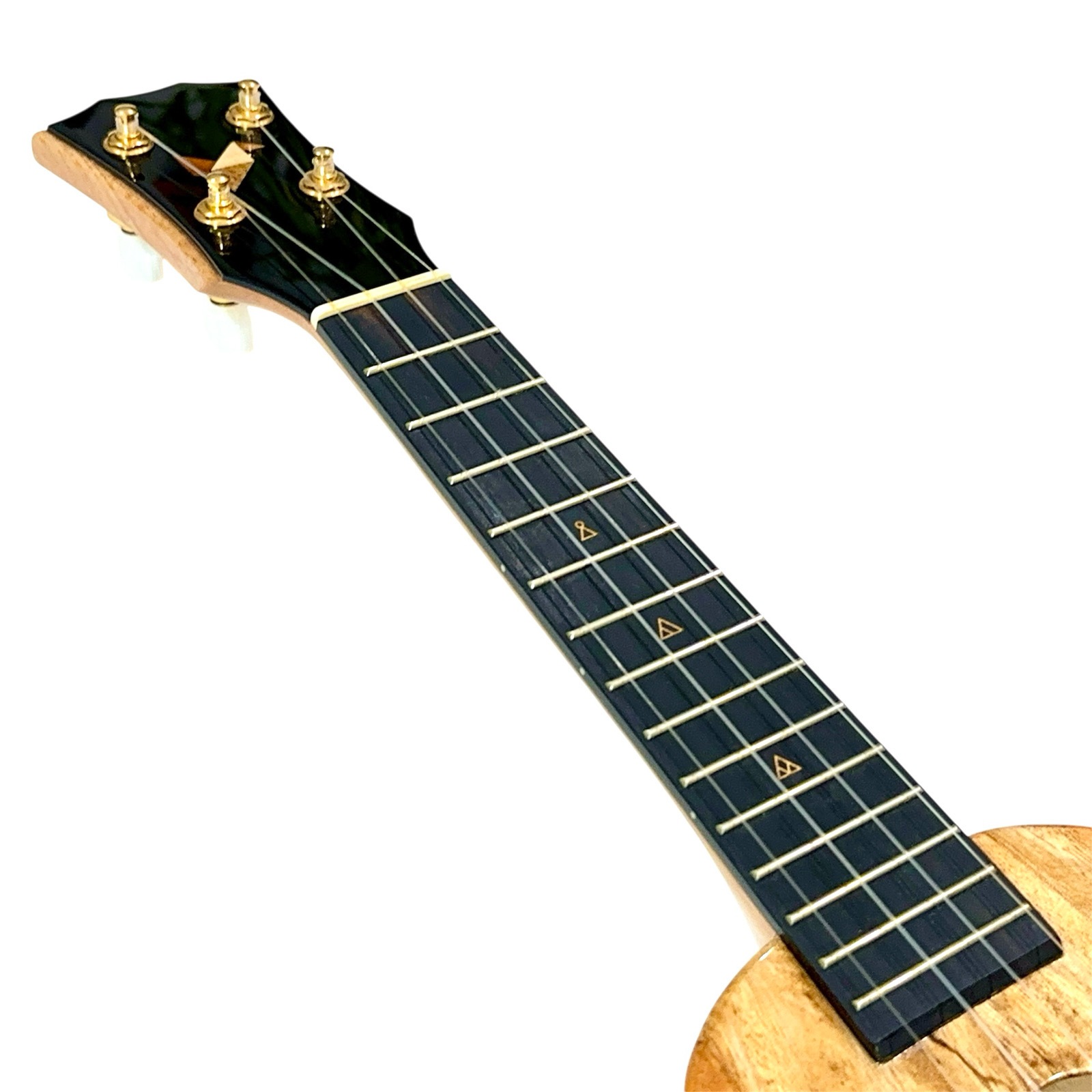 ��Rebel��Double Creme S ���ץ�Υ�����