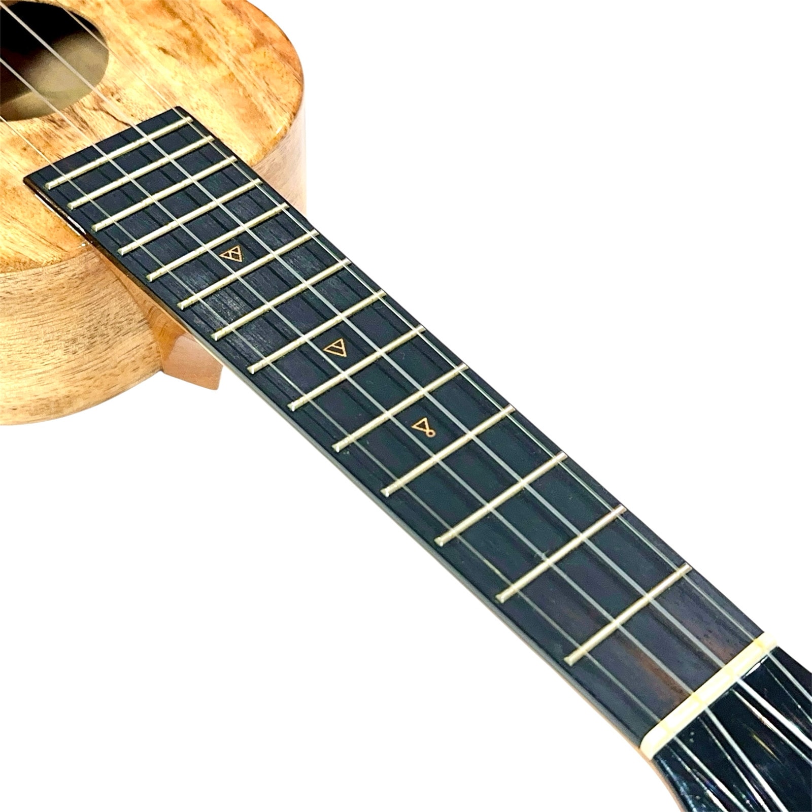 ��Rebel��Double Creme S ���ץ�Υ�����