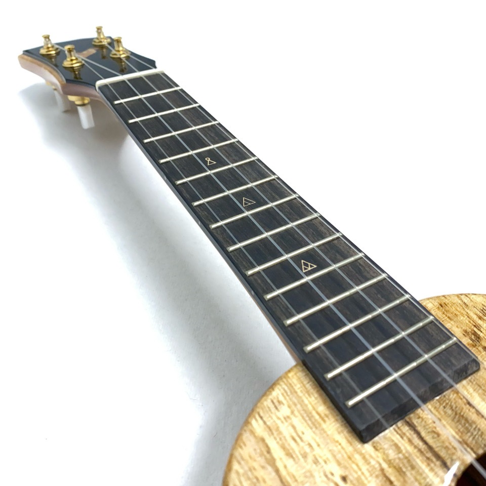 RebelDouble Creme S ץΥ