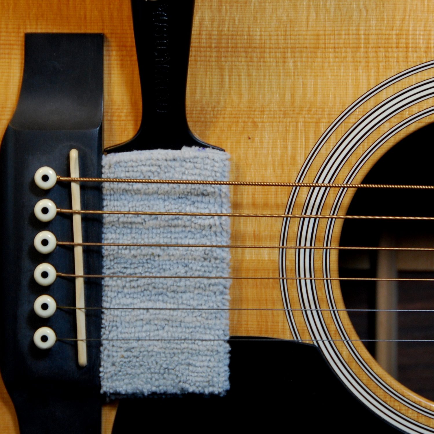 ڥ꡼˥󥰥ġMUSIC NOMAD MN205 å