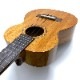 ��KIDA UkuleleWorks��#026���ƥʡ�������