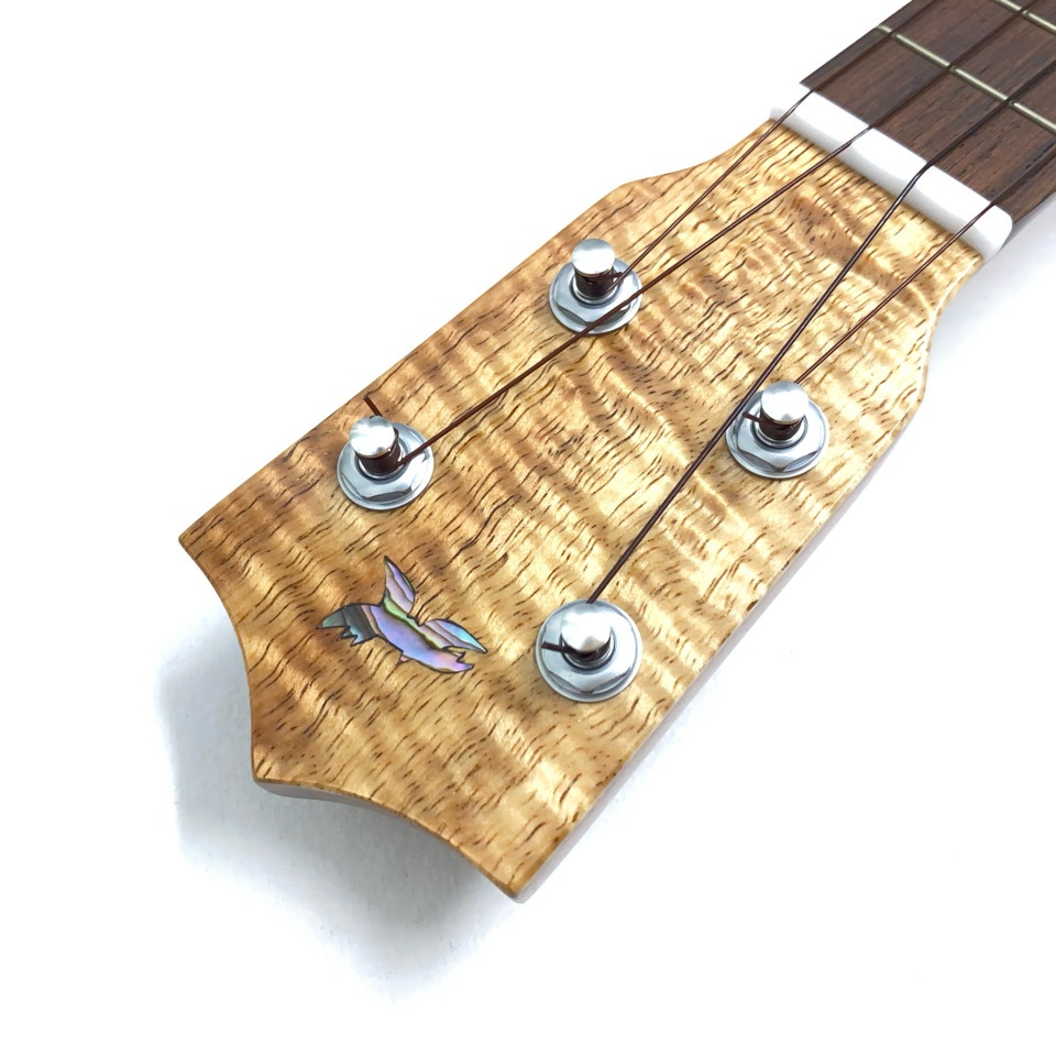 ��MAKOLELE��No.335 ���ץ�Υ��󥰥ͥå�������