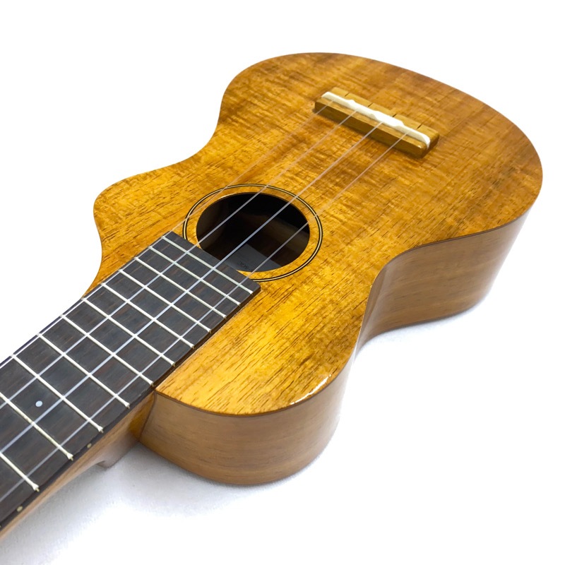 ��SALE��Famous��FLS-5GC ���ץ�Υ���