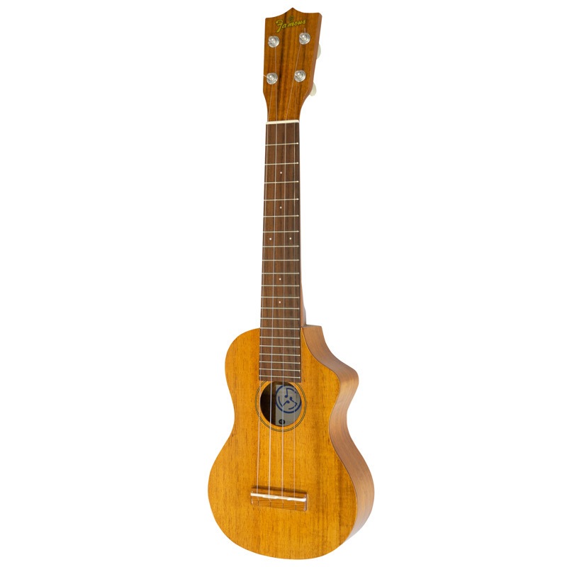 ��SALE��Famous��FLS-5GC ���ץ�Υ���