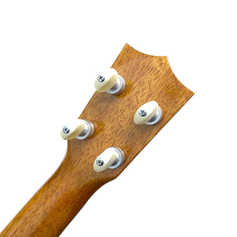 ��SALE��Famous��FLS-5GC ���ץ�Υ���