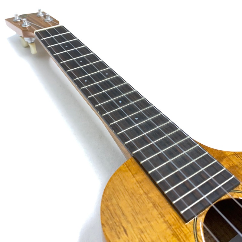 ��SALE��Famous��FLS-5GC ���ץ�Υ���