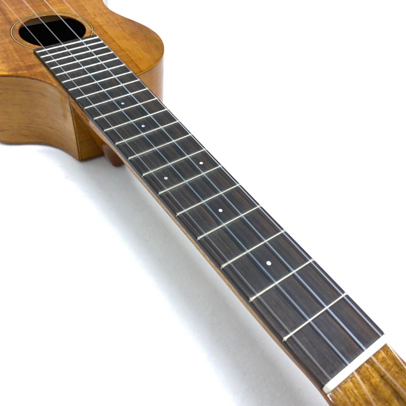 ��SALE��Famous��FLS-5GC ���ץ�Υ���