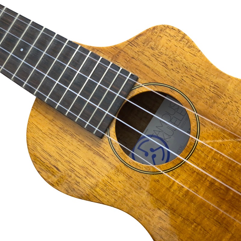 ��SALE��Famous��FLS-5GC ���ץ�Υ���