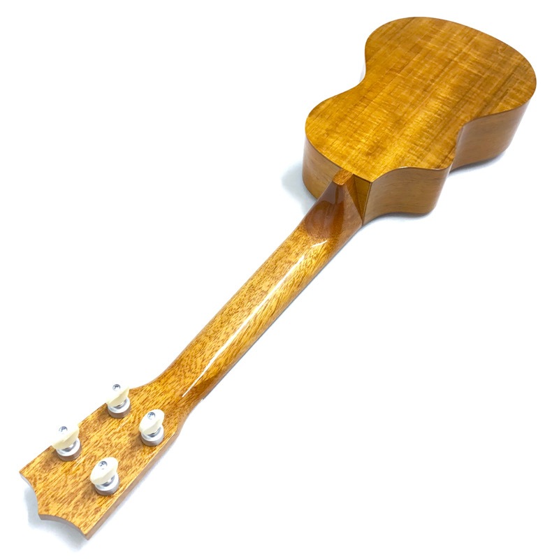 ��SALE��Famous��FLS-5GC ���ץ�Υ���