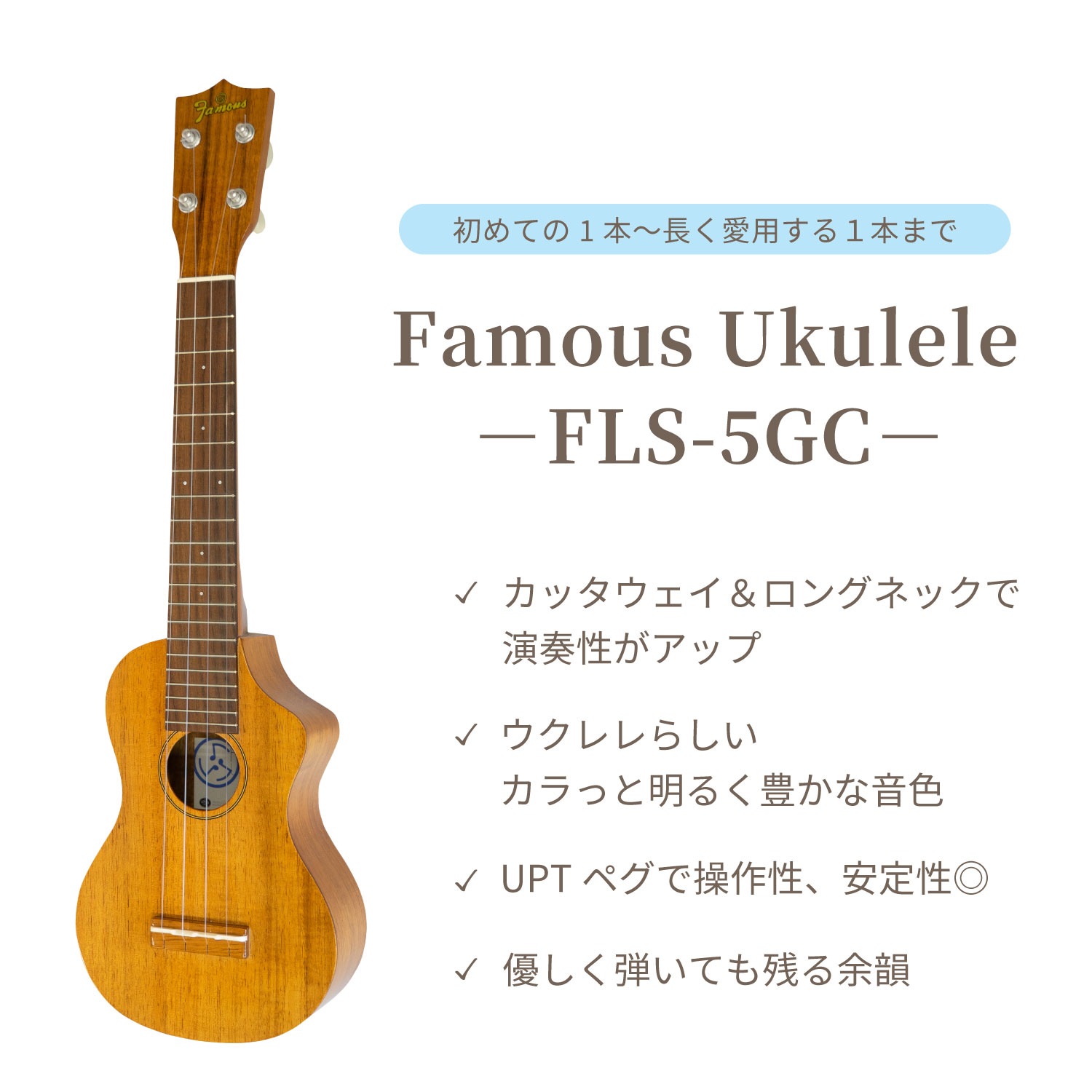 ��SALE��Famous��FLS-5GC ���ץ�Υ���