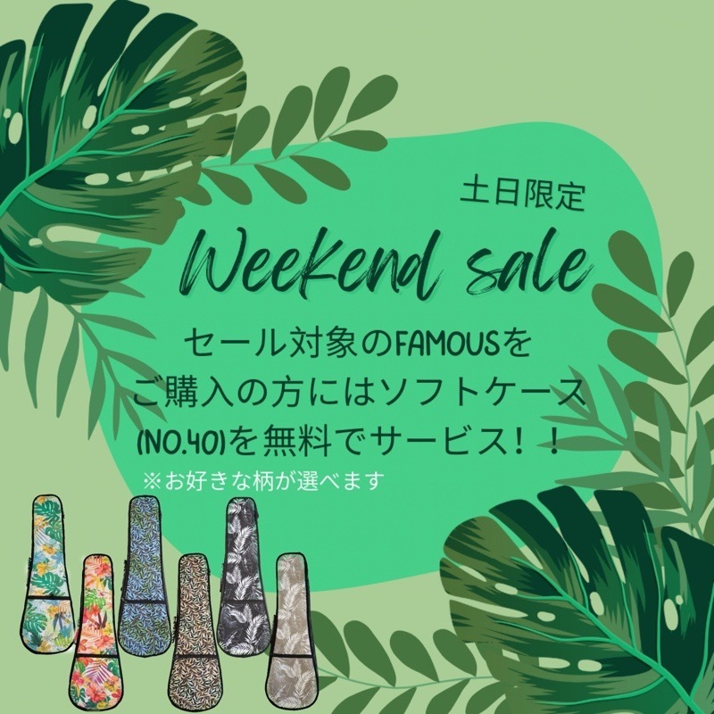 ��SALE��Famous��FLS-5GC ���ץ�Υ���