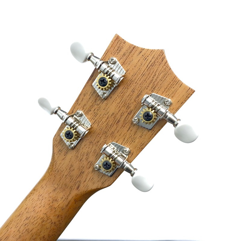 ��SALE��Famous��FLS-11GC ���ץ�Υ���