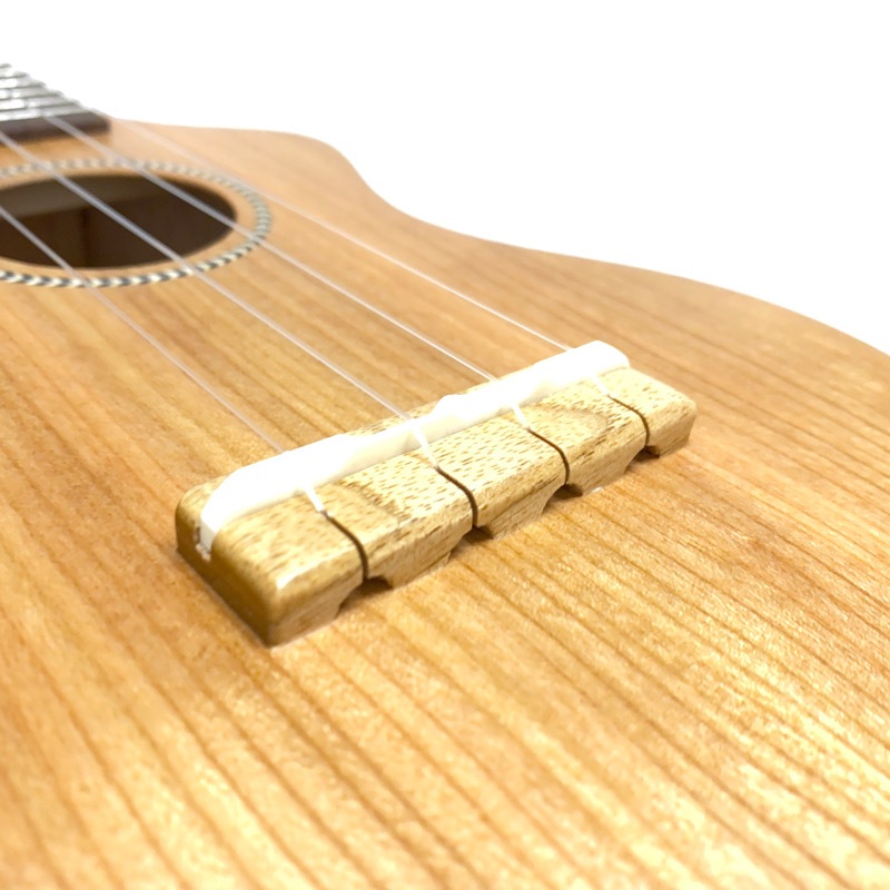 ��SALE��Famous��FLS-11GC ���ץ�Υ���