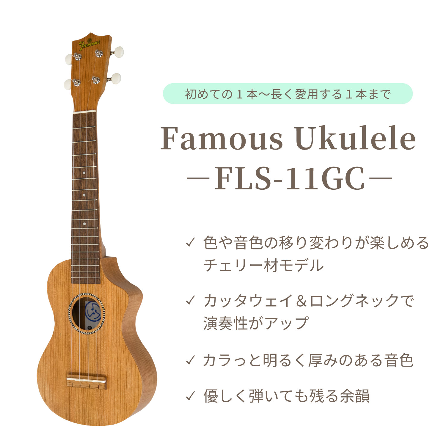��SALE��Famous��FLS-11GC ���ץ�Υ���