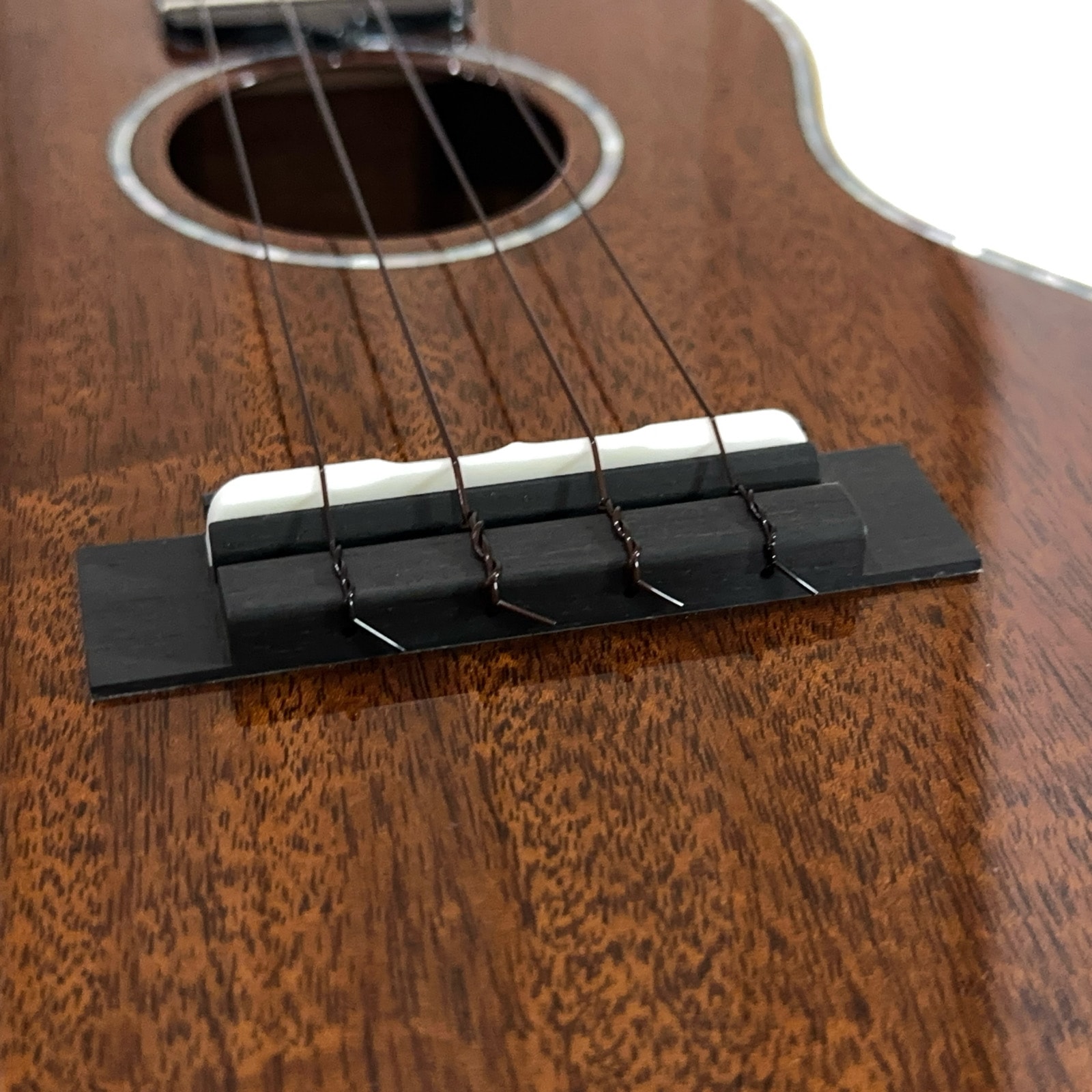 ��KIWAYA��KPC-5M MOP ���󥵡��ȥ�����