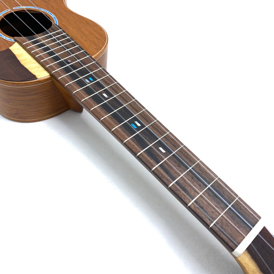 TODA GUITARSVC ALL MAHO No.730 󥵡ȥ