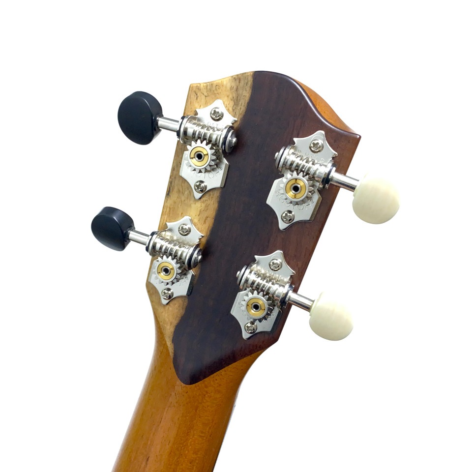 TODA GUITARSVC ALL MAHO No.730 󥵡ȥ