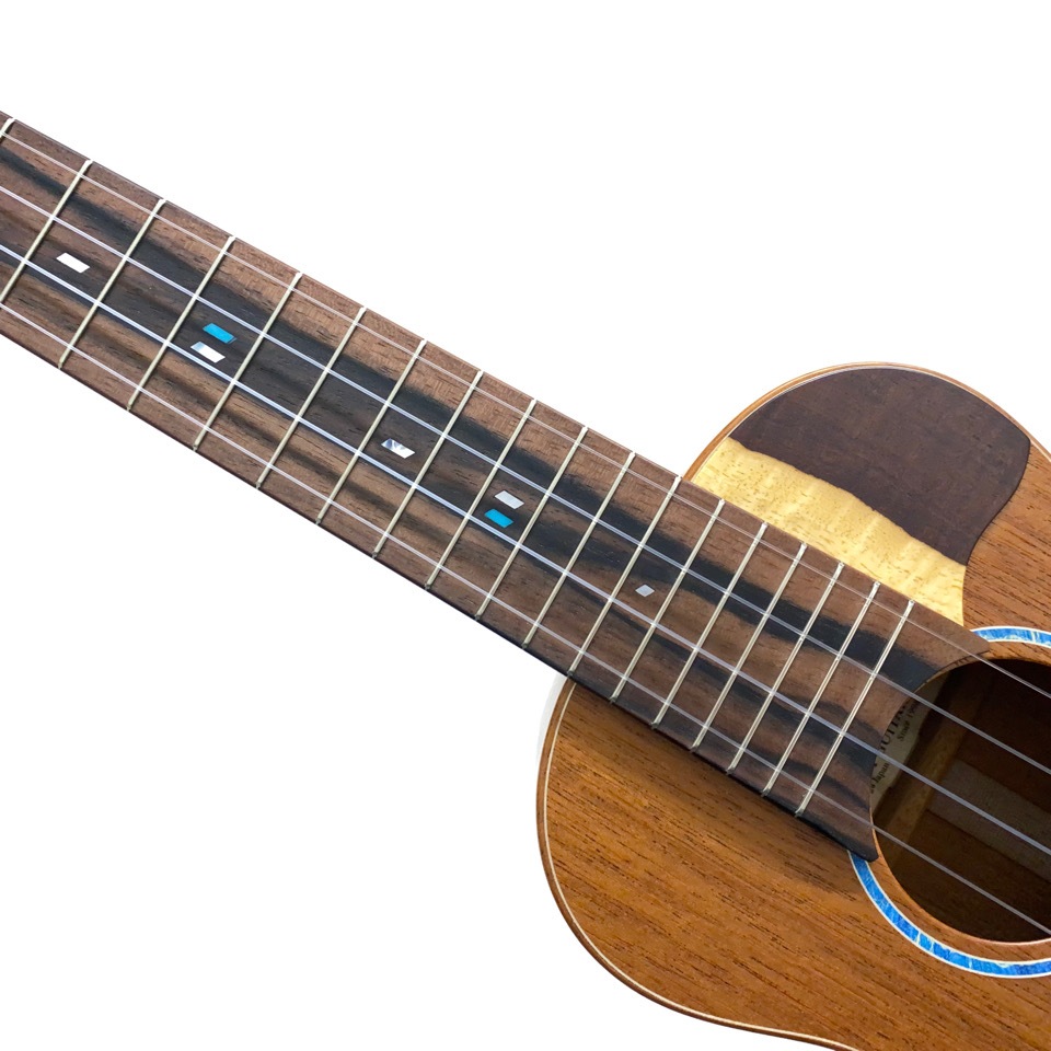TODA GUITARSVC ALL MAHO No.730 󥵡ȥ