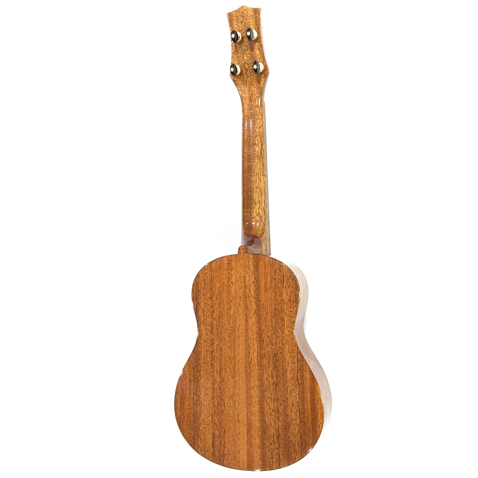 ��KIWAYA��KPT-5M MOP �ƥʡ�������