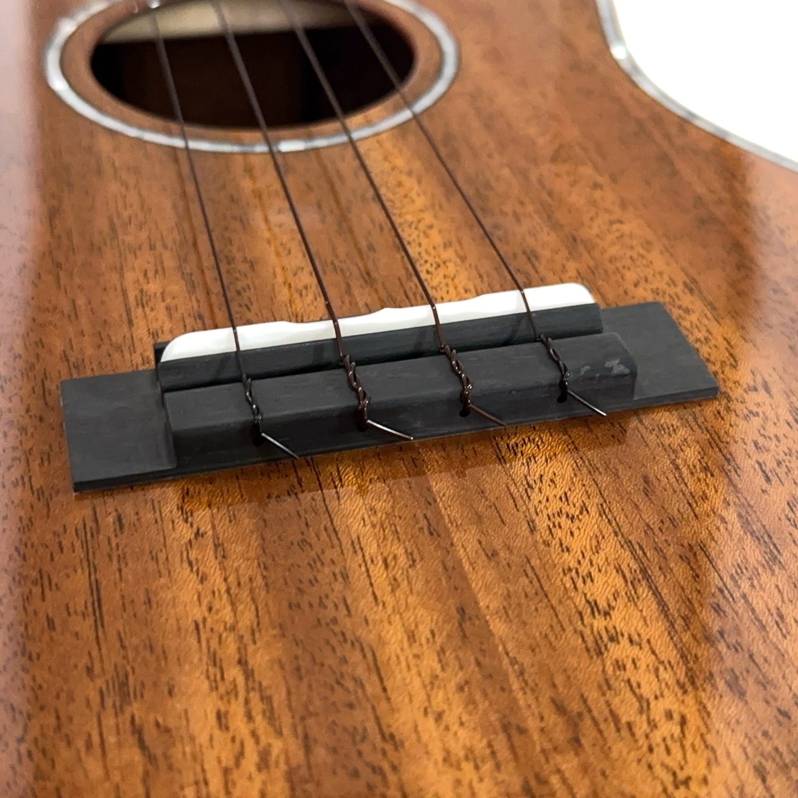 ��KIWAYA��KPT-5M MOP �ƥʡ�������