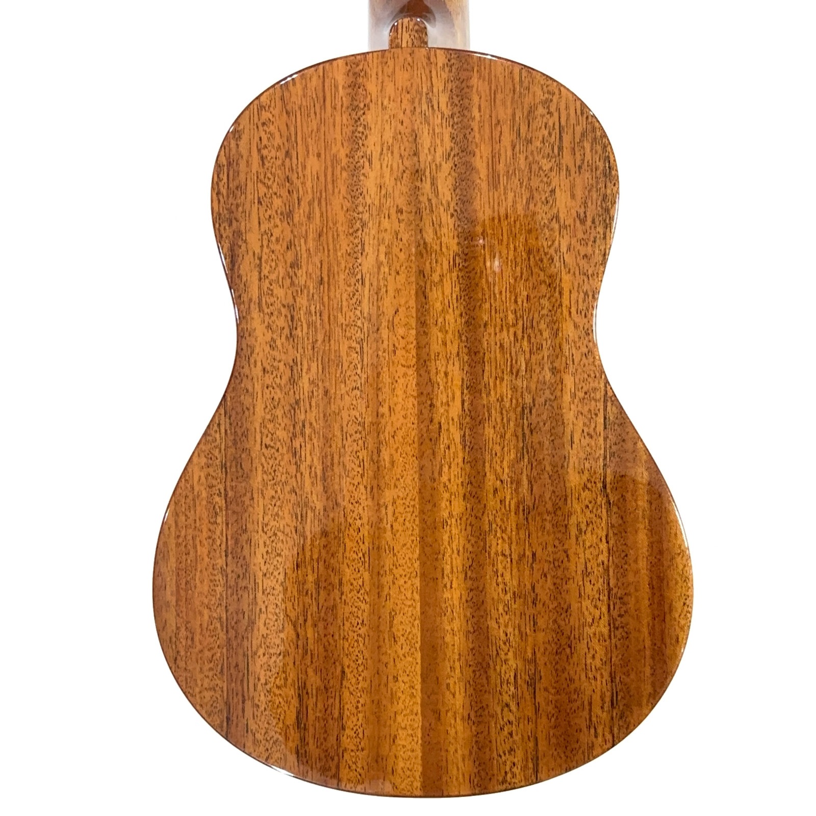 ��KIWAYA��KPT-5M MOP �ƥʡ�������